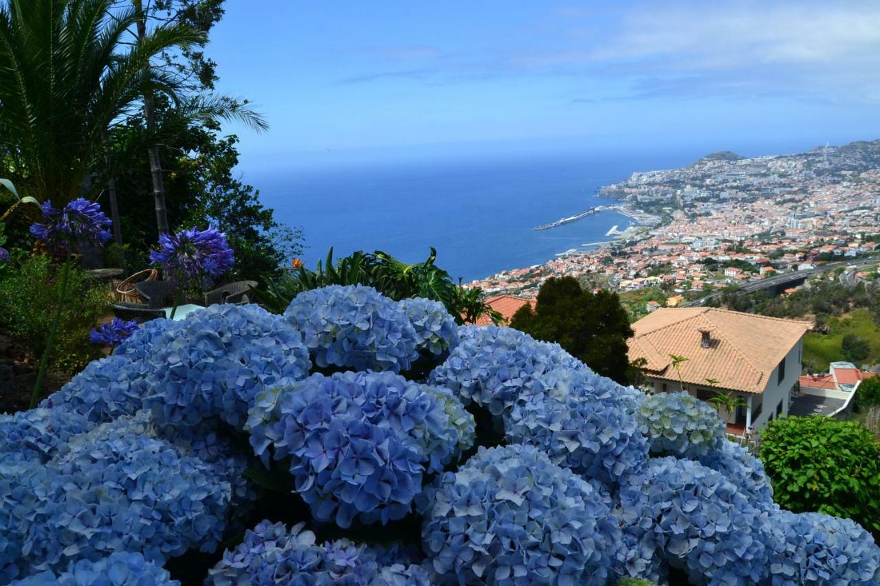 Willa Holiday House 4 You Funchal  Zewnętrze zdjęcie